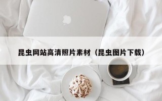 湘潭昆虫网站高清照片素材（昆虫图片下载）